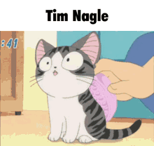 Tim Nagle Kitten GIF - Tim Nagle Kitten Chii GIFs