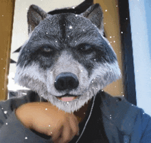 Alpha Wolf Male Alpha Meme GIF - Alpha Wolf Male Alpha Alpha Wolf GIFs