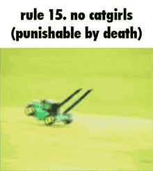 Rule15 No Catgirls GIF - Rule15 No Catgirls GIFs