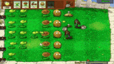 a screenshot of a video game with plants and zombies