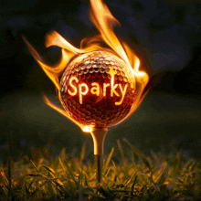 Sparky Golfball GIF - Sparky Golfball Fire GIFs