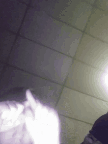 a person 's head is visible in a blurry photo against a ceiling