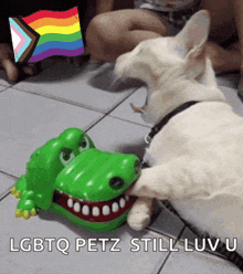 a dog playing with a toy crocodile with the words " lgbtq petz still luv u "