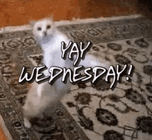 Yay Wednesday GIF - Yay Wednesday Yay Wednesday GIFs