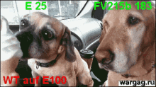 Dogs Eating GIF - Dogs Eating Icecream GIFs
