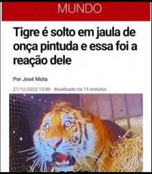 a picture of a tiger on a page that says mundo on it
