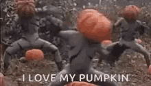 Pumpkin Halloween GIF - Pumpkin Halloween GIFs