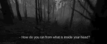 Dark Woods Run GIF - Dark Woods Run Inside Your Heart GIFs