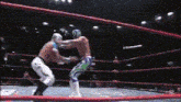 two wrestlers are fighting in a ring with a red rope surrounding them