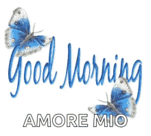 Good Morning Amore Mio GIF - Good Morning Amore Mio My Love GIFs