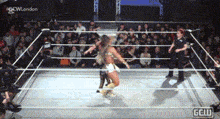 a woman is wrestling in a ring with a crowd watching behind her .