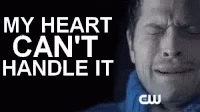 Crying Cant Handle It GIF - Crying Cant Handle It My Heart Cant Handle It GIFs