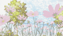 a bunch of pink flowers are growing in a field