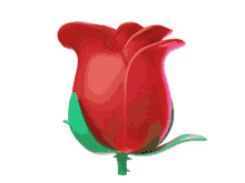 muddu rose flower spinning