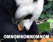 Yummy Panda GIF - Yummy Panda Nom Nom GIFs