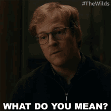 What Do You Mean Dr Daniel Faber GIF - What Do You Mean Dr Daniel Faber The Wilds GIFs