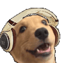 dog headphones jump shake