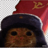 a picture of a cat wearing a hat with the word runway on the bottom right