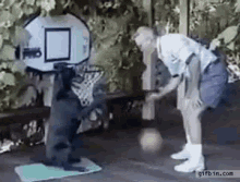Basketball Dogs GIF - Basketball Dogs Dog Tricks GIFs