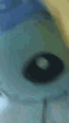 a close up of a white object with a black eye and a blue background