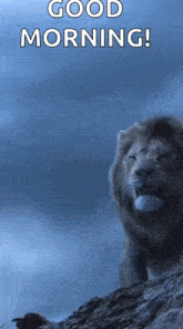 Lion Roaring GIF