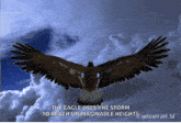 Flying Eagle GIF - Flying Eagle GIFs
