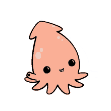 animals squid