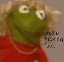 kermit the frog from sesame street is wearing a red shirt and saying `` wait a fucking fuck '' .