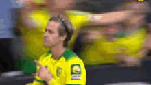 Todd Cantwell Norwich City GIF - Todd Cantwell Norwich City Premier League GIFs
