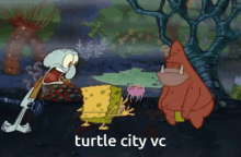 Turtle City Vc GIF - Turtle City Vc GIFs