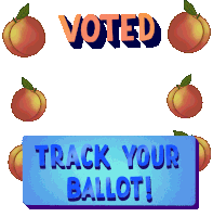 Georgia I Voted Sticker - Georgia I Voted Ronoff Stickers