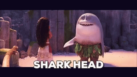 Shark Head GIFs | Tenor