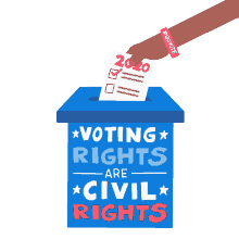 rights voter