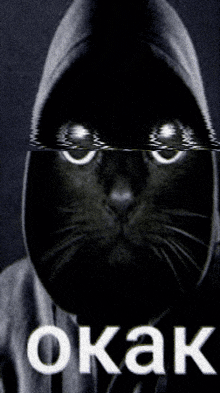 a black cat wearing a hooded jacket with the word okak on the bottom right