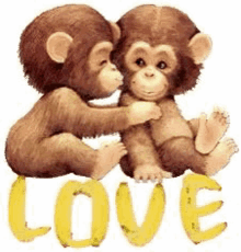 Love Monkey GIF - Love Monkey GIFs