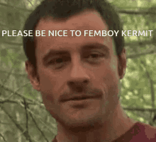 be nice raise eyebrows kermit please be nice to femboy kermit