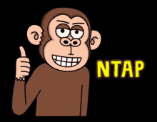 Cool Monkey Ntap GIF - Cool Monkey Monyet Mantap GIFs