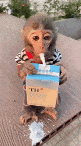 GIF