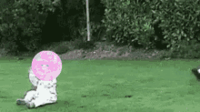 GIF