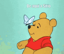 Pooh Sirio GIF - Pooh Sirio GIFs