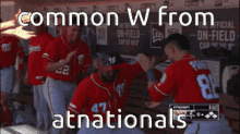 Atnationals Nats GIF