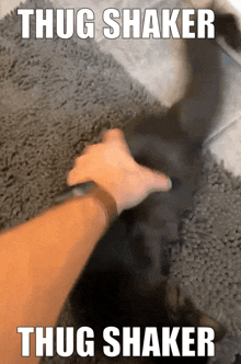 Thug Shaker Cat GIF - Thug Shaker Cat GIFs