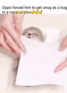 Opps Cat GIF