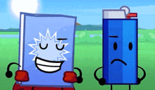a book and a lighter are standing next to each other on a grassy field .