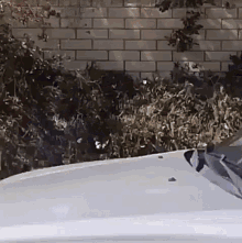 a white car is parked in front of a brick wall and a bush .
