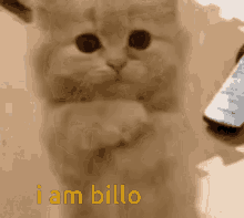 Billo GIF - Billo GIFs