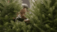 Mark Wahlberg Creeping GIF - Mark Wahlberg Creeping Tree GIFs