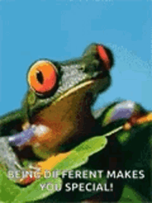 Frog Smilin GIF