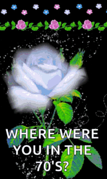 Where Were You In The70s Roses GIF - Where Were You In The70s Roses White Rose GIFs