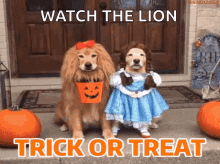 Halloween Trick GIF - Halloween Trick Or GIFs